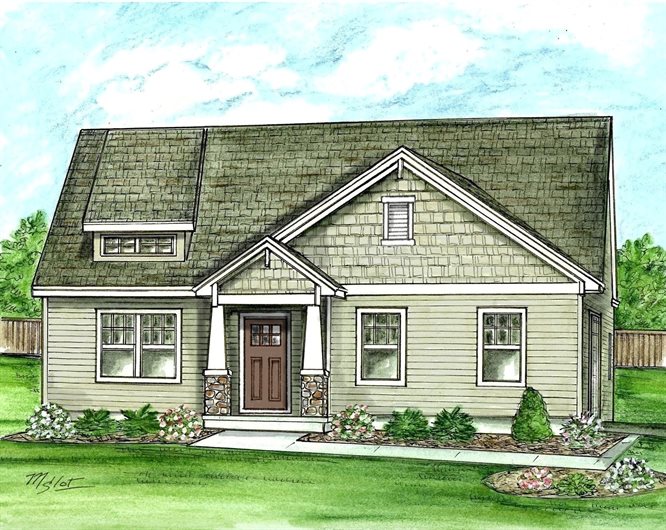Image of Birch - Olson Farm